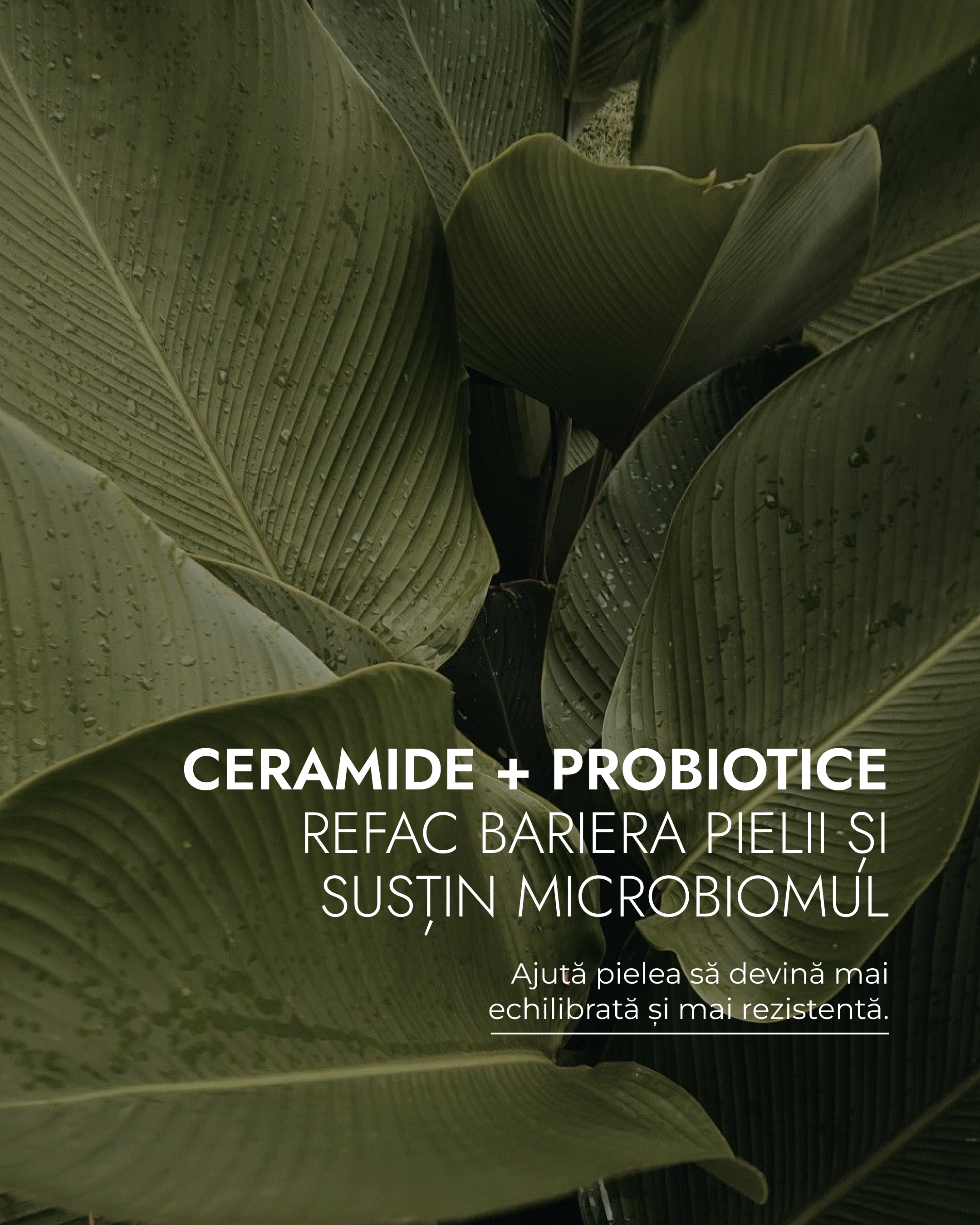 CREMA CERAMIDE NP & ACID HIALURONIC