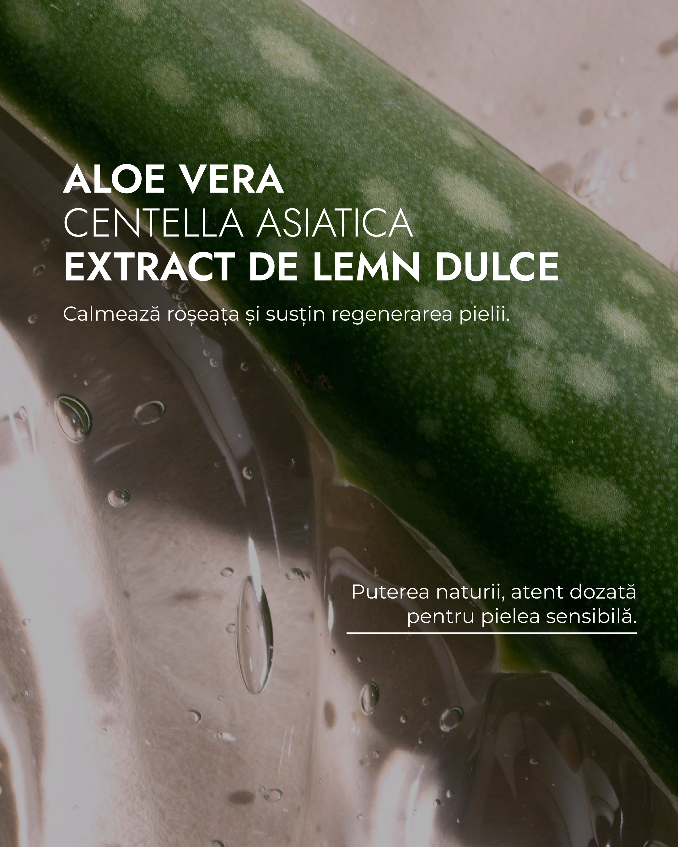 CREMA CERAMIDE NP & ACID HIALURONIC