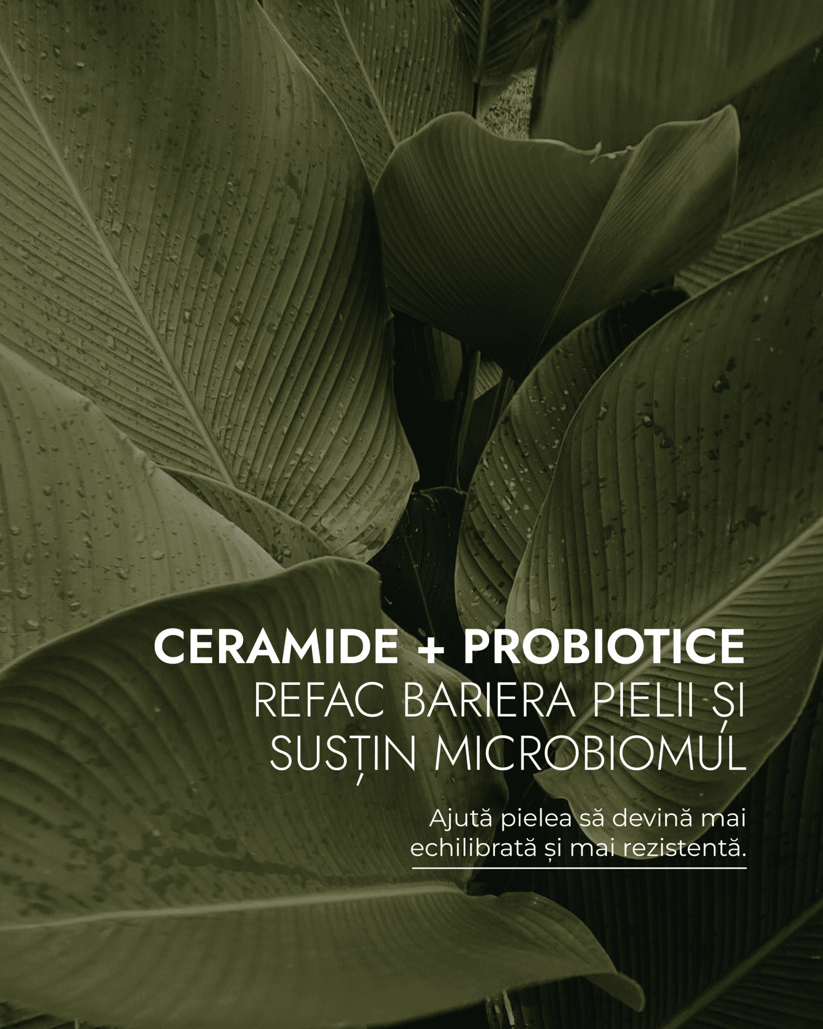 Crema Hidratanta Antiacnee cu Ceramide si Acid Hialuronic - Keida