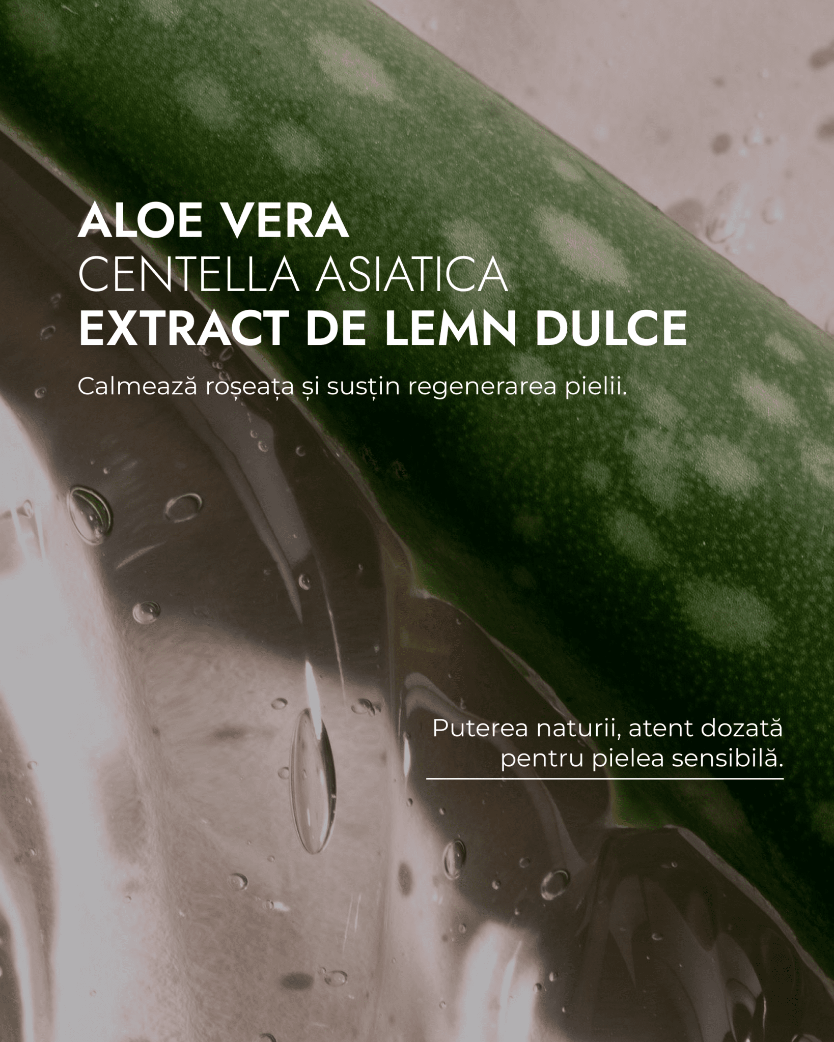 CREMA CERAMIDE NP & ACID HIALURONIC - Keida Crema de fata